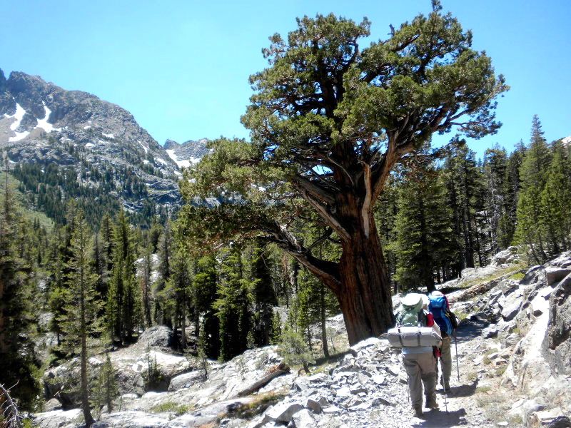jmt72010 069.jpg